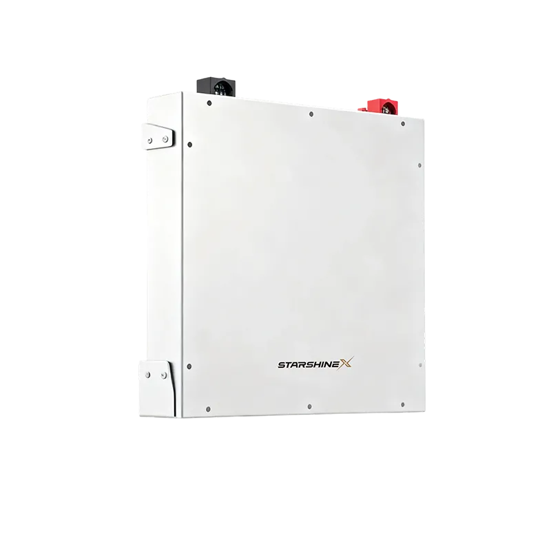 ST-050 Wall-Mounted Low-Voltage Battery