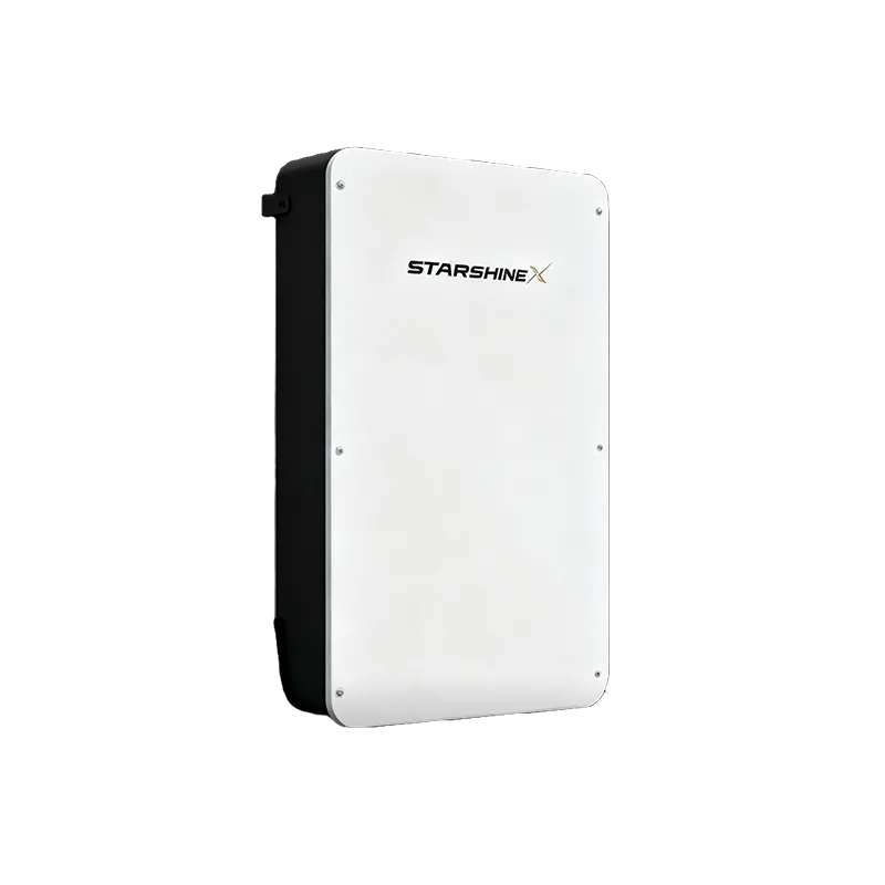 ST-100 Wall-Mounted Low-Voltage Battery